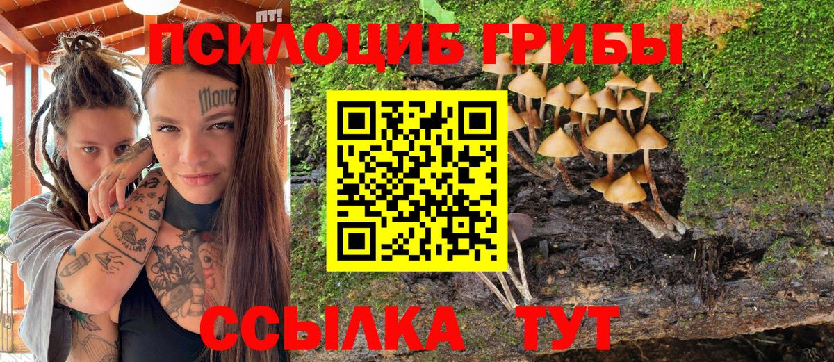 Галлюциногенные грибы Magic Shrooms Минеральные Воды